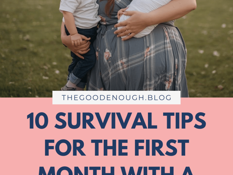 Going From One to Two: How to Survive the First Month With a Toddler &&nbsp;Newborn